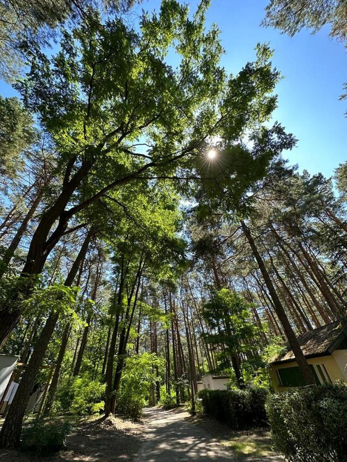 Summer House * Lubniewice