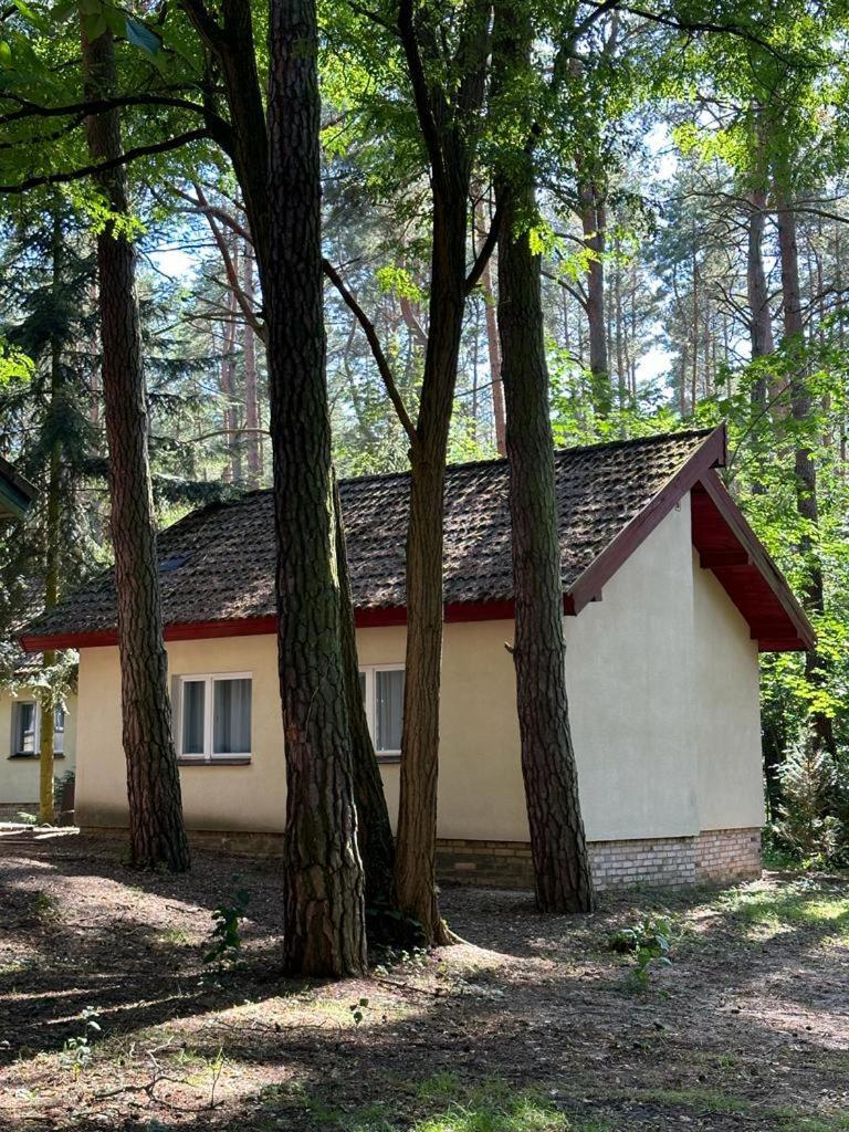 Ferienhaus Summer House Lubniewice